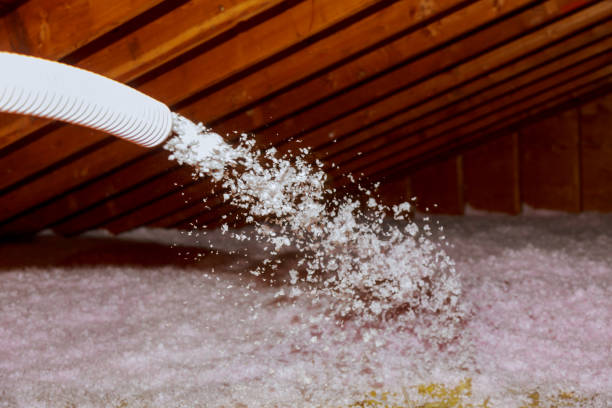 Best Insulation Materials and Products in Kirkland, IL